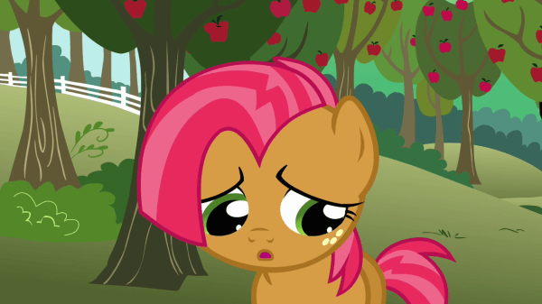  “Sorry I ruined your float, threw stuff at you, took your ice cream, took your clubhouse, forced you to sleep on the floor, and generally terrorize you for weeks on end.  We cool though, right?”