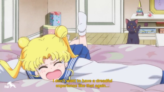 Sailor Moon Crystal - 2 (3)