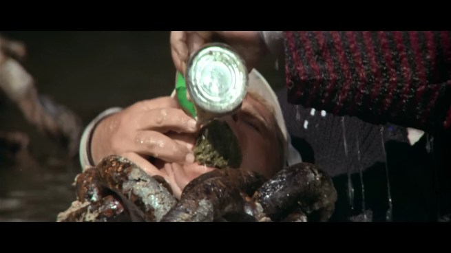 Ugh.  I can understand Popeye’s frustration.  Real spinach is fine, but that canned shit?  Yuck.