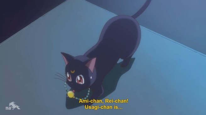 "It's 3am! If Usagi's doing something stupid, it's her own damn fault. Call me when the sun's out"