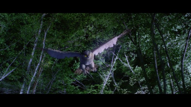 Not only that, but a CG owl!  AM I WATCHING BIRDEMIC!?!?