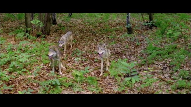 DO YOU FEEL THE TERROR!?