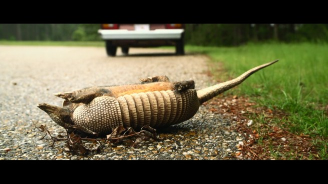 “REFERENCES!!  APPLAUD US FOR REMINDING YOU OF OTHER FILMS!!!”