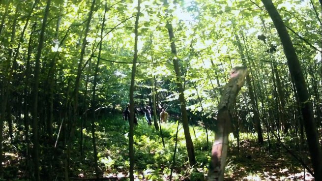“I’m sure this piece of dead wood is strong enough to take out all you assholes!!     ...     I don’t think they believe me.  SHIT!”