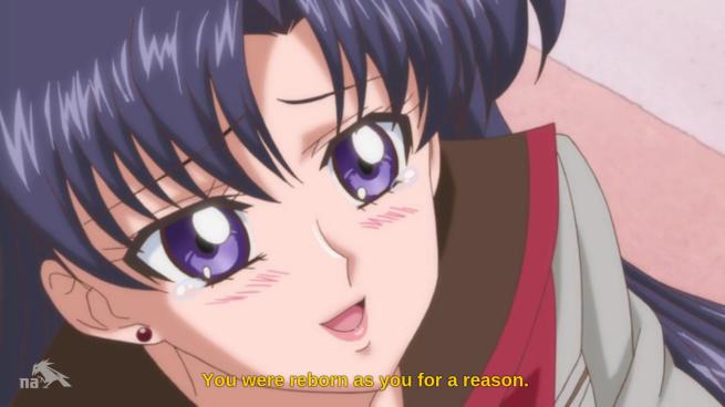 “Princess Serenity was so high maintenance. We like you because you're silly, clumsy, forgetful, easily distracted, shameless about stealing people's food...” “OKAY! I GET IT! THANK YOU!!”