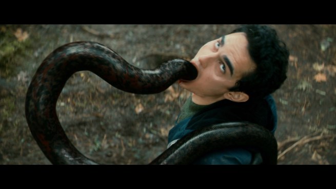 Questionable effect? Yes. Any less gruesome a way to go? HELL NO!!