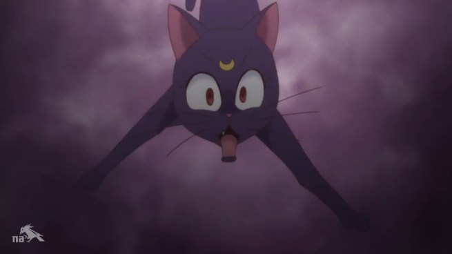 “FUCK ME!!  I think I just lost three of my nine lives!”