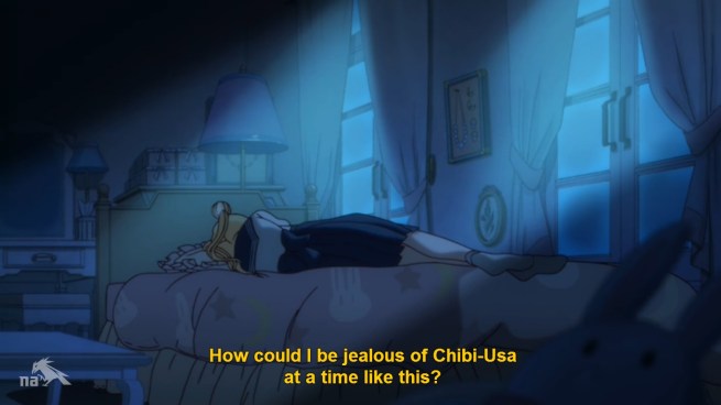 I DON’T KNOW USAGI!  WHY DON’T YOU TELL ME!?