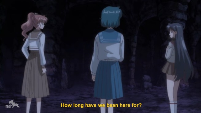 “What the hell did we miss?  Weren’t we fighting aliens or something?  Did Chibi-Usa turn out to be the princess of Mars?”