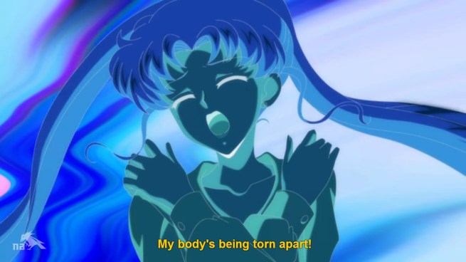 “YOU ARE TEARING ME APART MAMORU!!!”