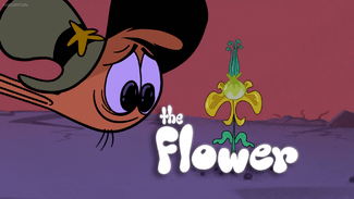 TheFlowertitlecard